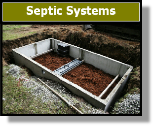 8002B Septic System Cleaner