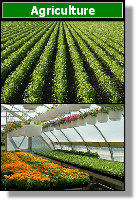 Agriculture Horticulture